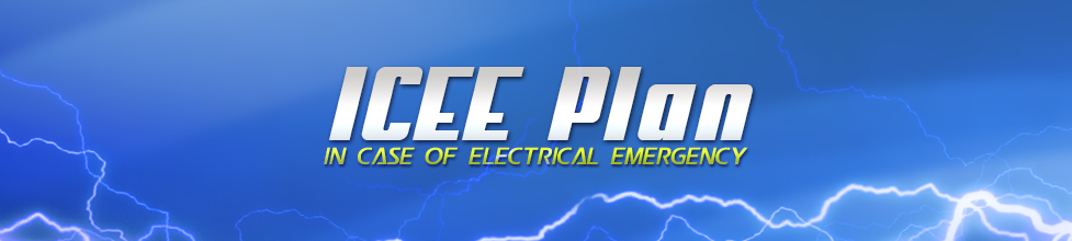 ICEE Plan Logo