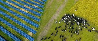 Biodiversity using solar pv panels
